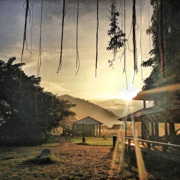 d-travels-round-elephant-nature-park